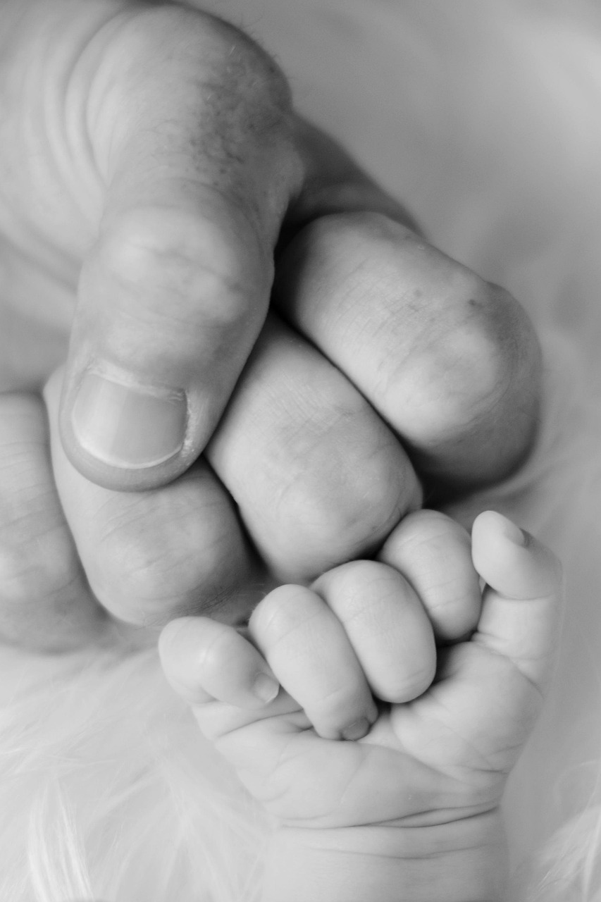 découvrez nos services de soutien familial pour accompagner les familles dans leur quotidien : conseils, assistance administrative, ateliers parentaux et accompagnement personnalisé. trouvez l’aide dont vous avez besoin pour le bien-être de votre famille.
