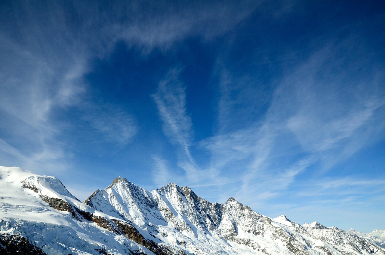 découvrez le saas, une solution innovante et flexible qui révolutionne la façon dont les entreprises gèrent leurs applications et services en ligne. profitez d'un accès 24/7, de mises à jour automatiques et d'une réduction des coûts d'infrastructure.