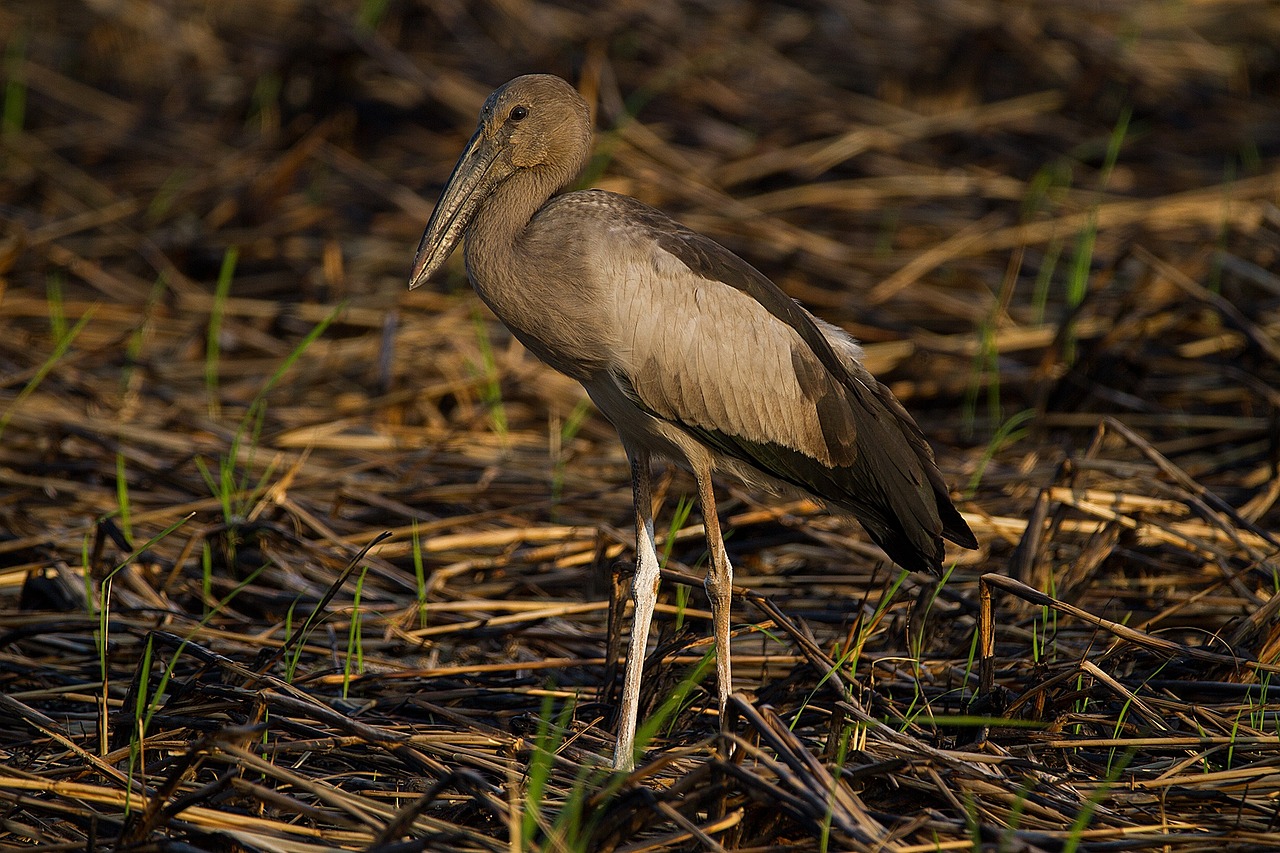 découvrez thales, leader mondial des hautes technologies, spécialisé dans la sécurité, le transport, la défense et l’aéronautique. solutions innovantes et expertise au service d’un monde plus sûr et connecté.
