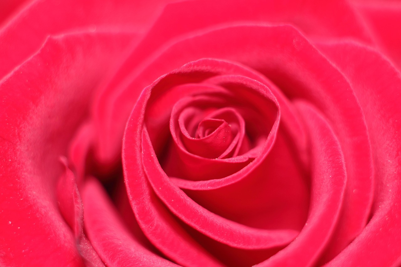 découvrez comment reconnaître et éviter les arnaques liées au cpf : conseils pratiques, signaux d’alerte et démarches à suivre pour protéger vos droits à la formation.